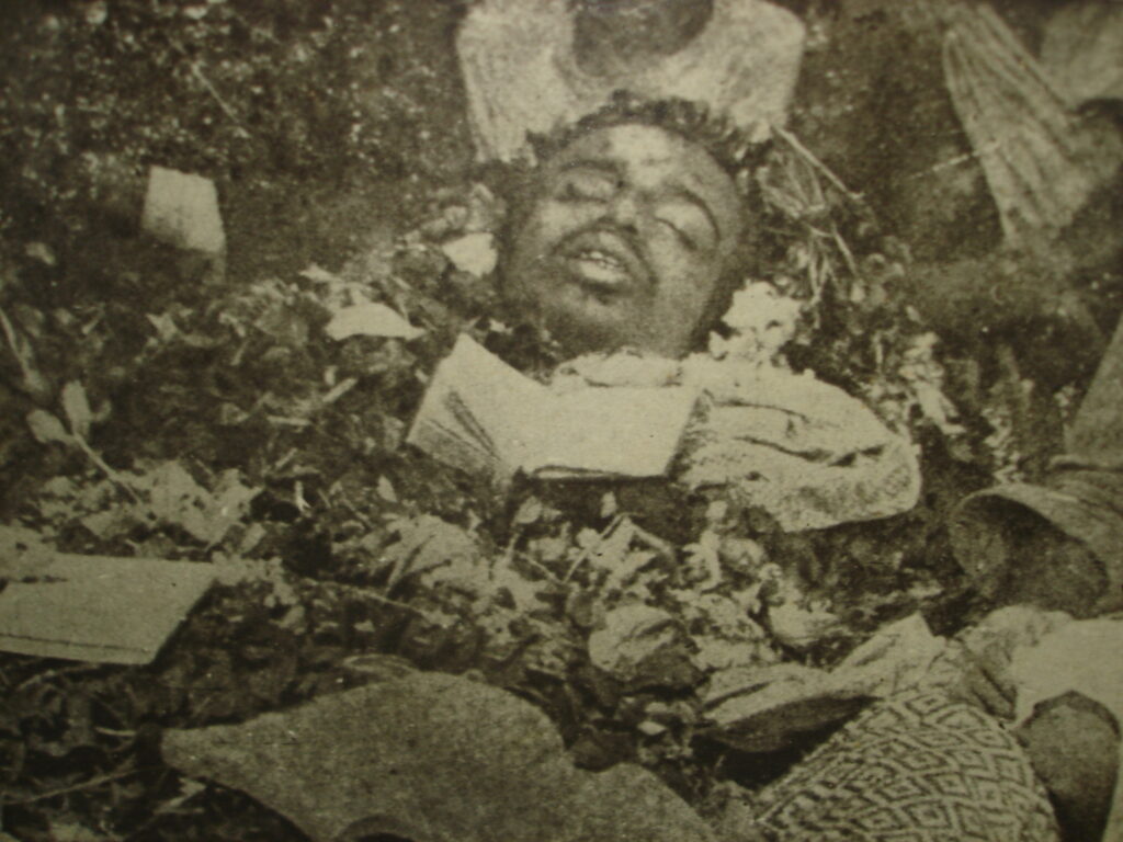 BACKUP 2011 ANANDA COTTAGE 001